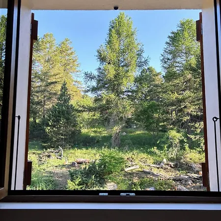 Petit Paradis En Montagne